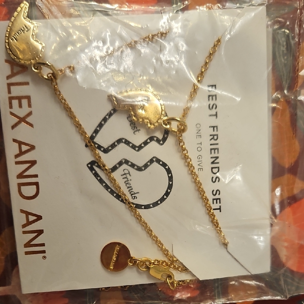 Alex and Ani Gold Friendship Necklace Set - Yellow Gold-Tone